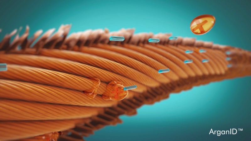 A visual representation of Moroccanoil's ArganID technology, which enhances argan oil's ability to penetrate the hair shaft. 