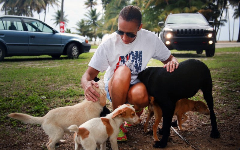 Chrissy Beckles, Founder of The Sato Project, pets dogs in Puerto Rico. 