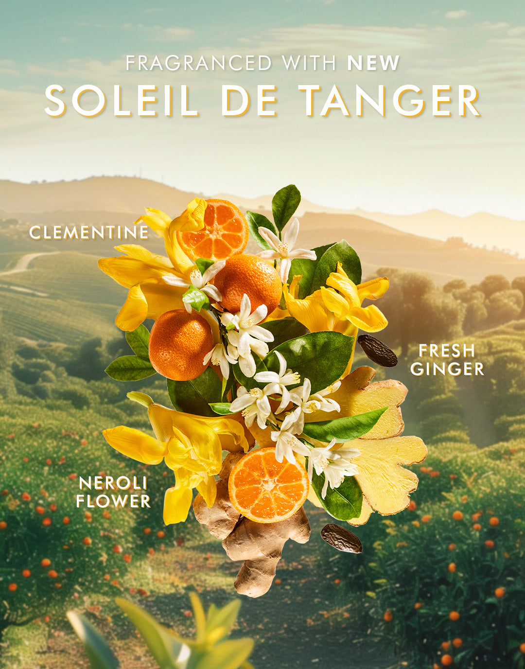 Soleil de Tanger Hand Care Set